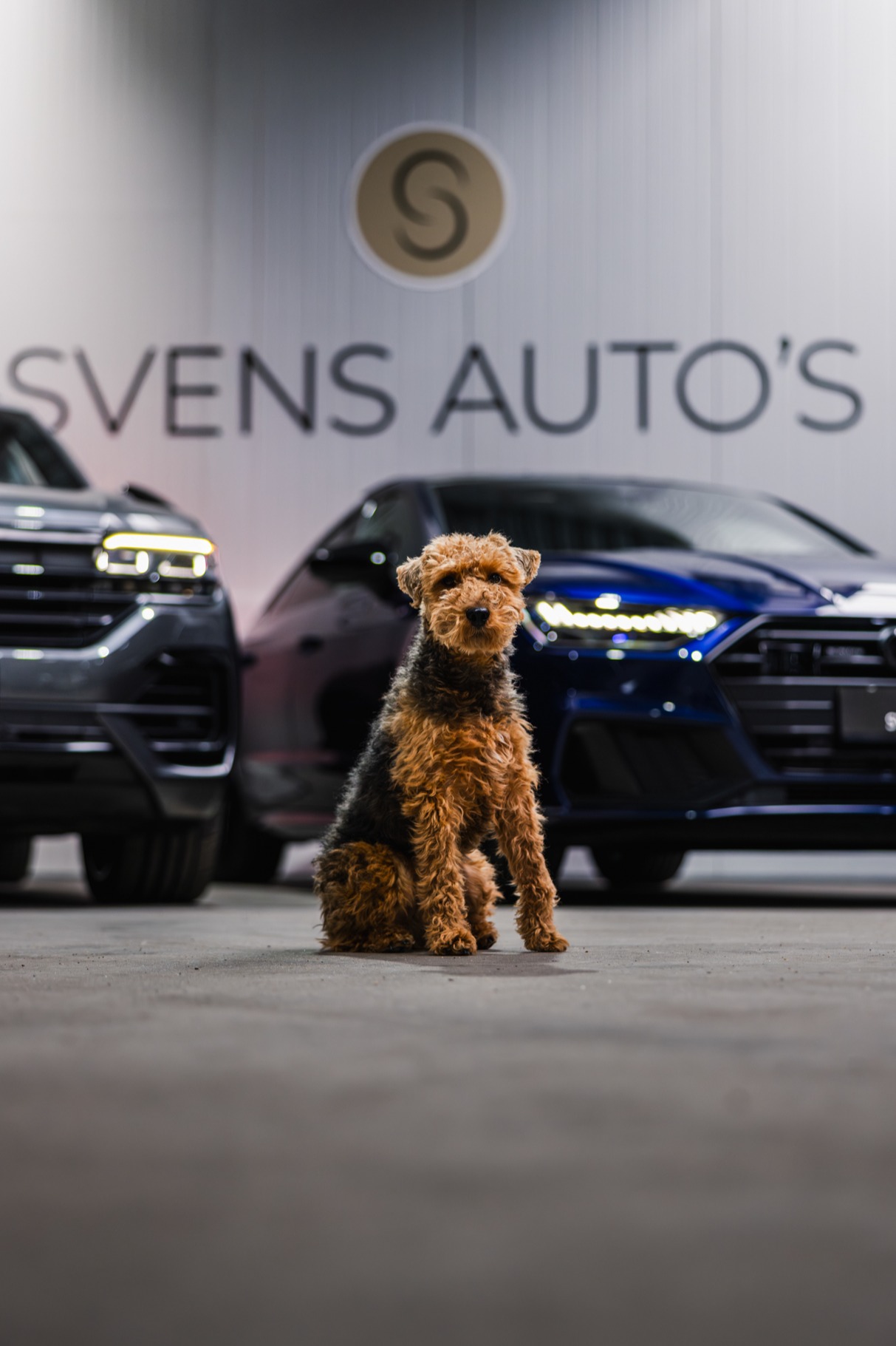 Header banner_images_2_17684727311690590982.jpg Over ons | SVENS AUTO'S